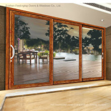 Aluminum Commercial Sliding Doors with Top Quality (FT-D120)